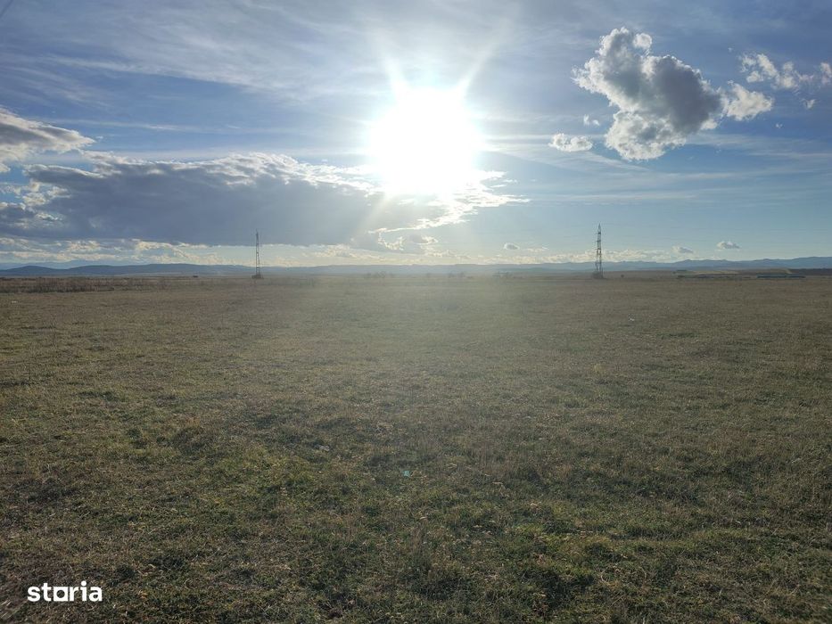 Teren de 5800mp situat in zona "Miei",suprafata plana,str.Mierlei