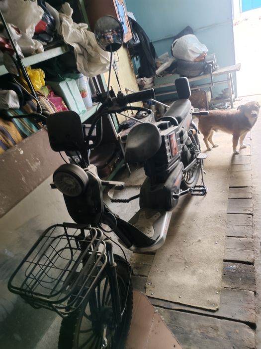 Electrovelosioed