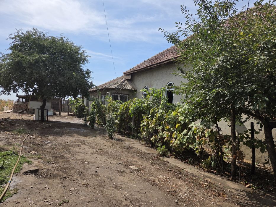 Vând casă în comuna Motatei