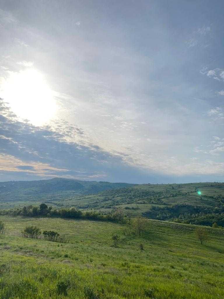 Teren Intravilan cu Priveliște Spectaculoasă în Prahova