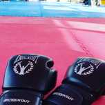 Cursuri Kick-Boxing
