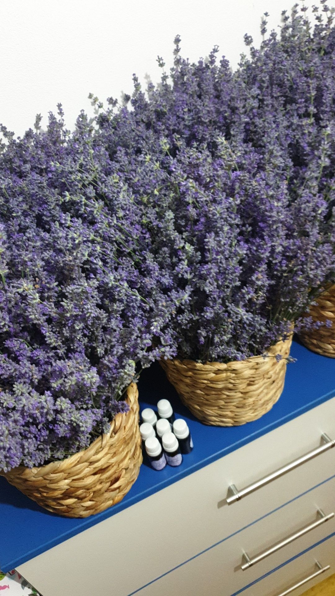 Apa florala de lavanda și ulei esential