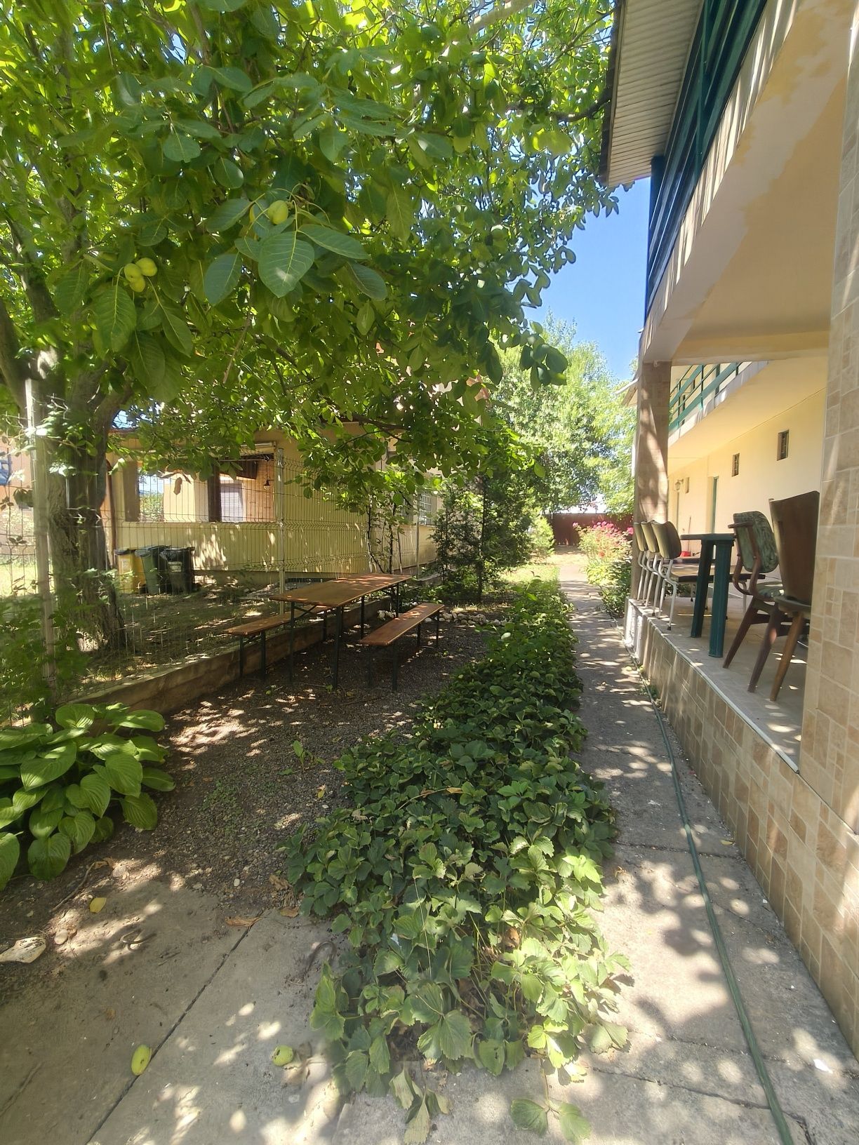 Costinesti Cazare la Vila Rebeca - cel mai bun raport pret/calitate