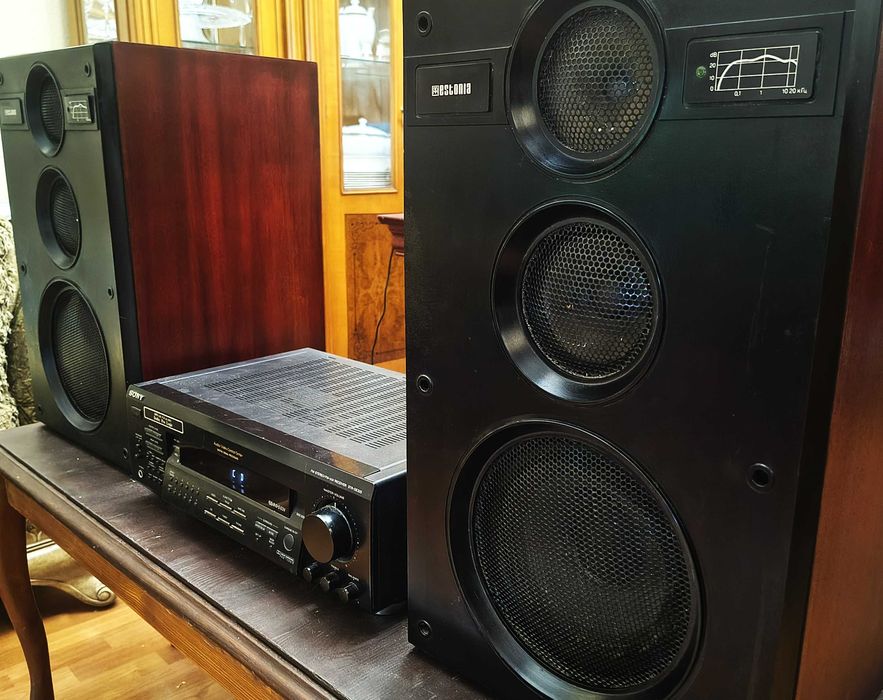 Акустическая система 25 АС-311 «Эстония»
