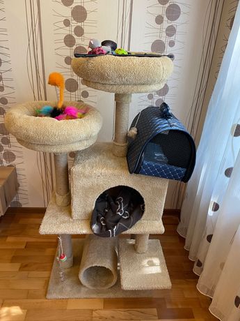 Котешка катерушка, играчки, чанта, тоалетна, храна и бентонит