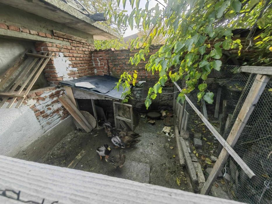 Продавам Юрдеци мъжки и женски !