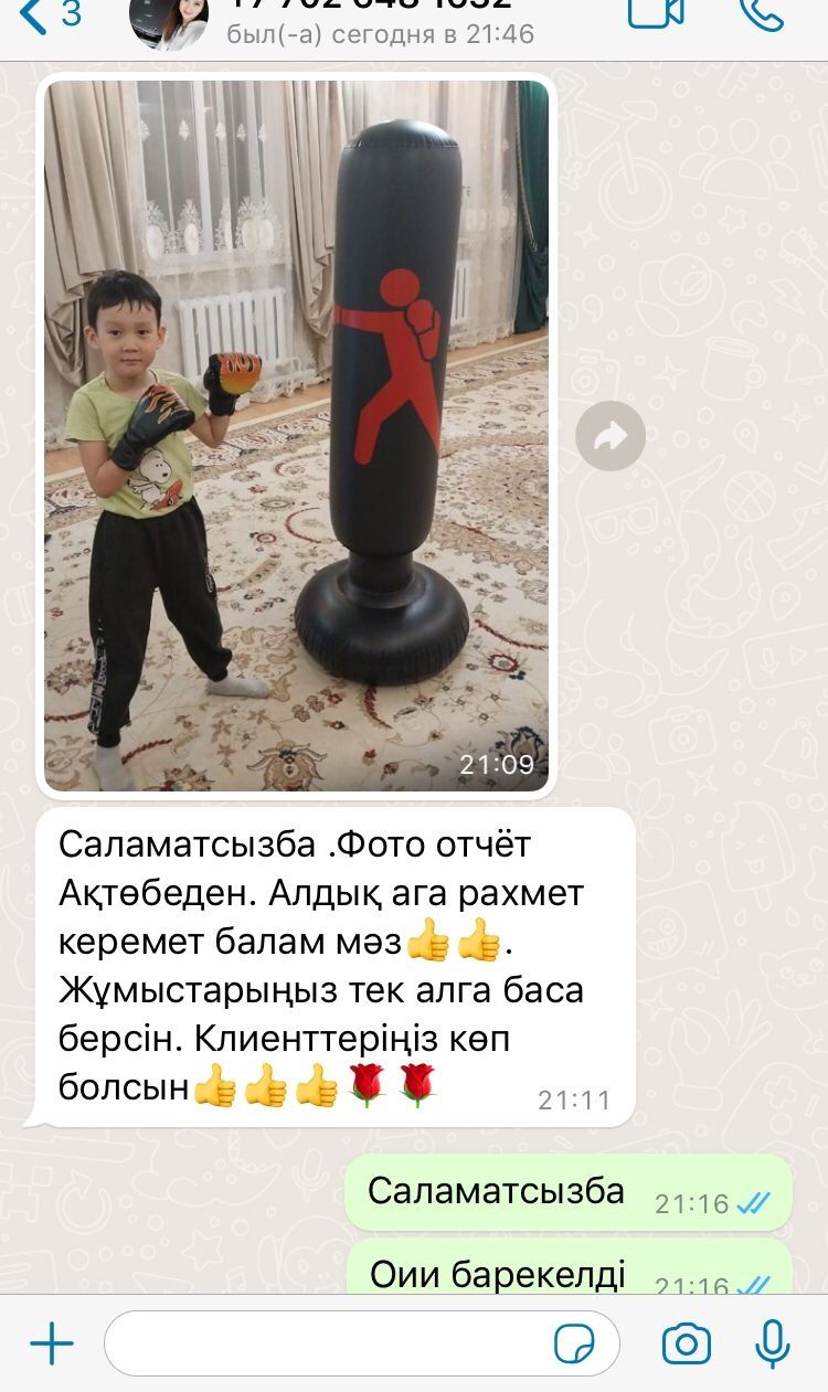 Боксерская груша.  Чемпионский Набор