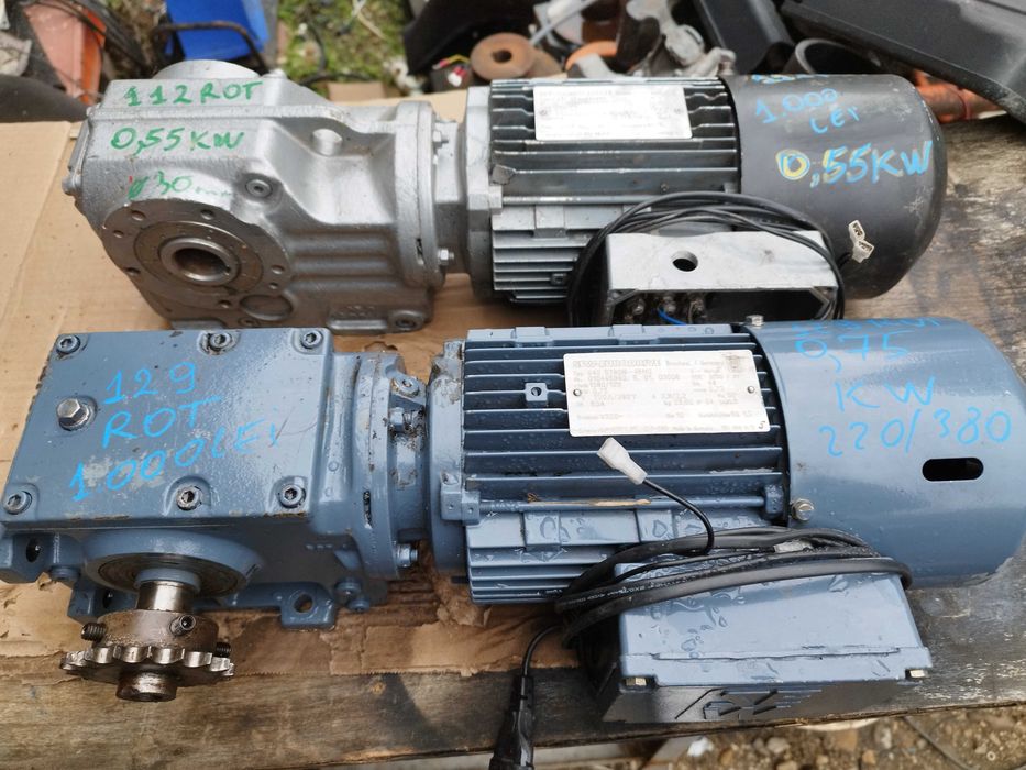 Reductor cu motor electric  povarna gradina prune