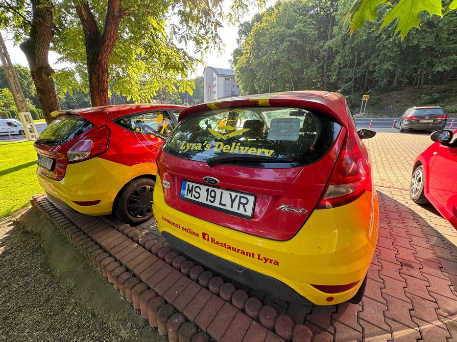Flotă Auto Livrare de Vânzare – Ford Fiesta