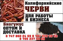 Продаются черви, биогумус.