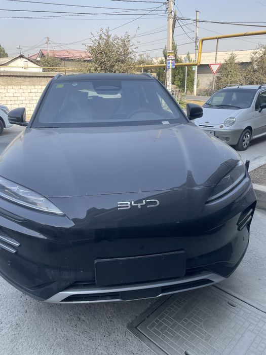 BYD чемпион сопилади