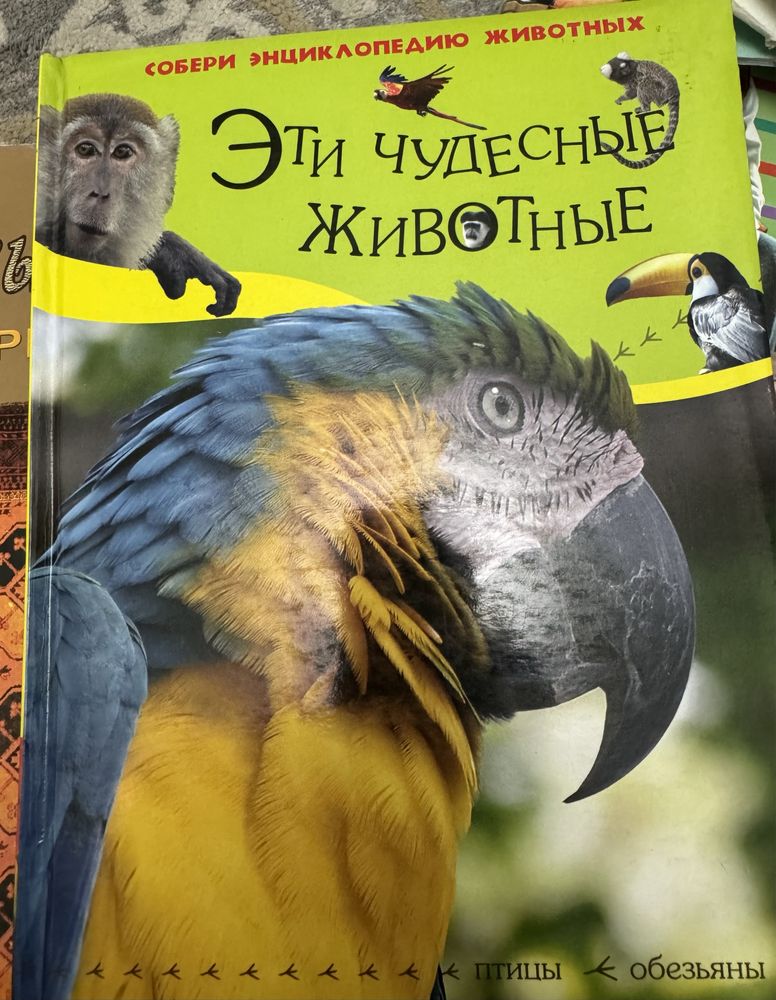 Эциклопедия о животных Эти необычные животные изд-во Росмэн Москва