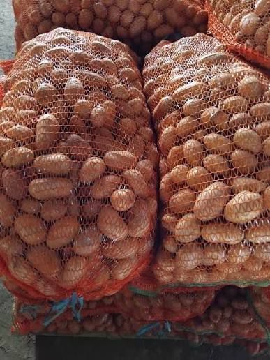 Vând cartofi pentru animale