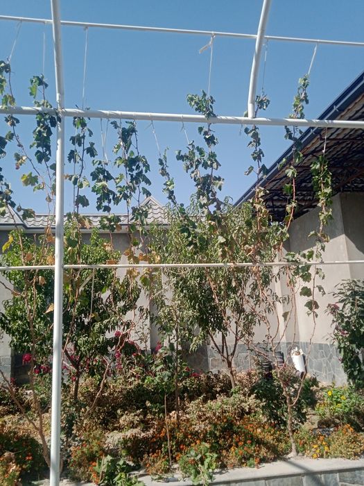 Sadovnik bogbon lanshaft xizmati