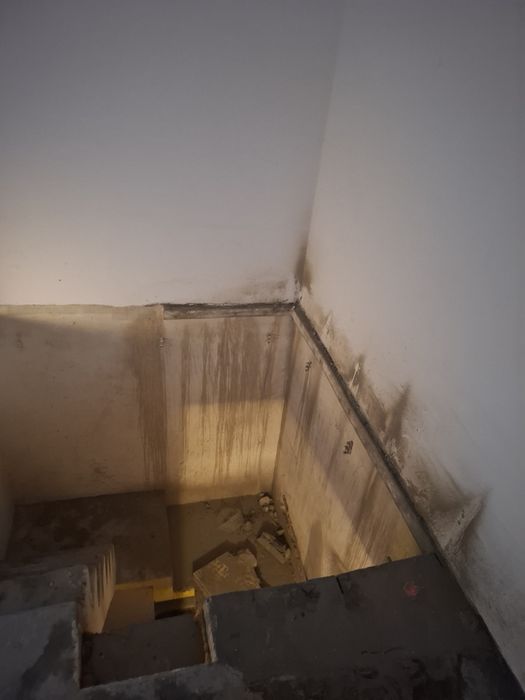 Taiere/Carotare beton armat