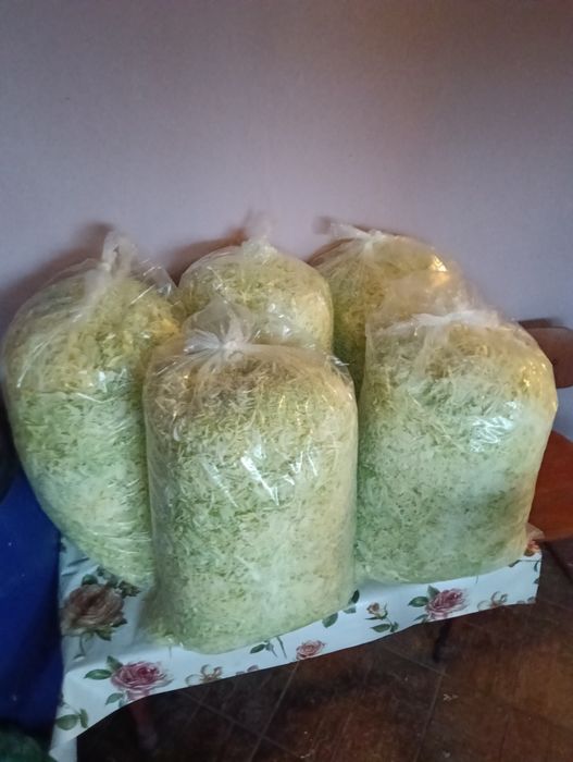 Vând varza de toamna plata în loc livada