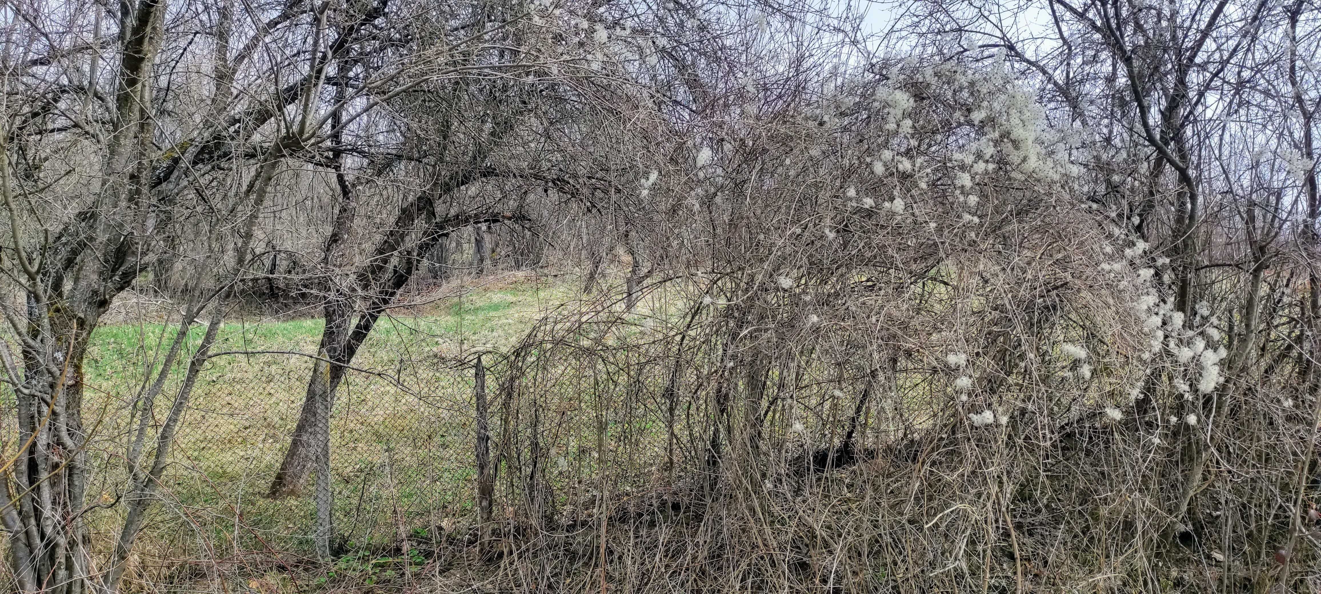 Село .Млечево ограден парцел в регулация