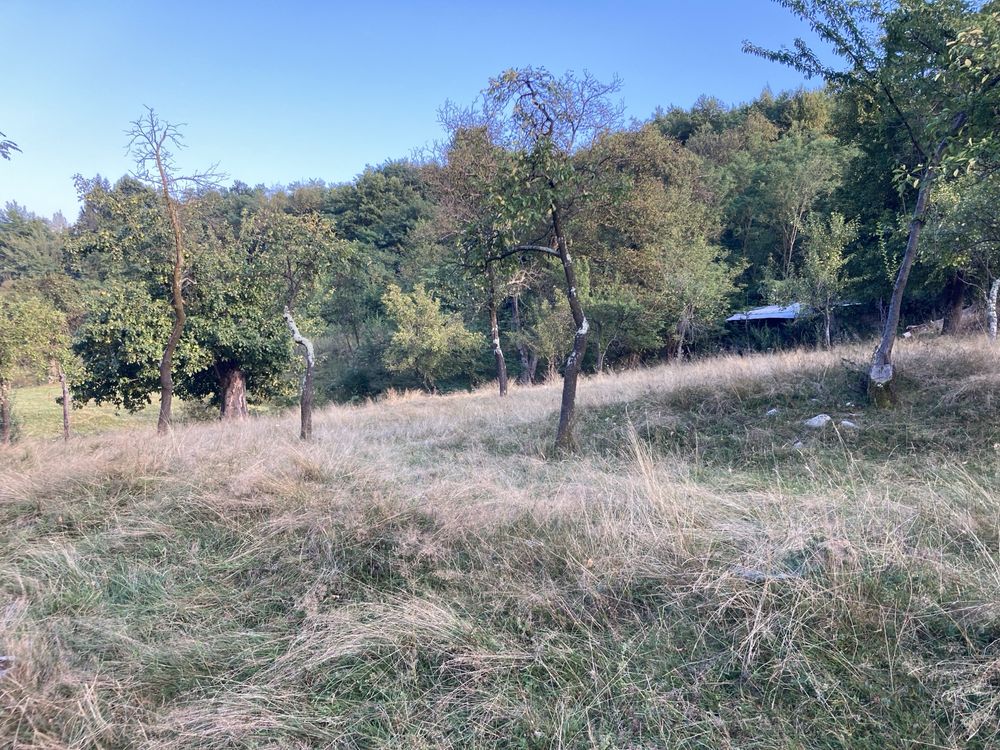Teren Brezoi Valcea pretabil cabana