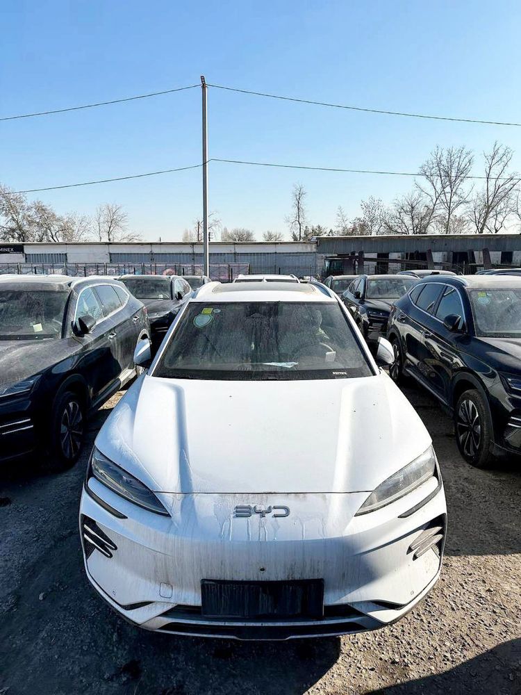 Byd Champion Smart Drive 605 km full