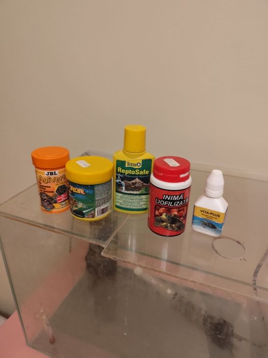 Vând acvariu complet echipat