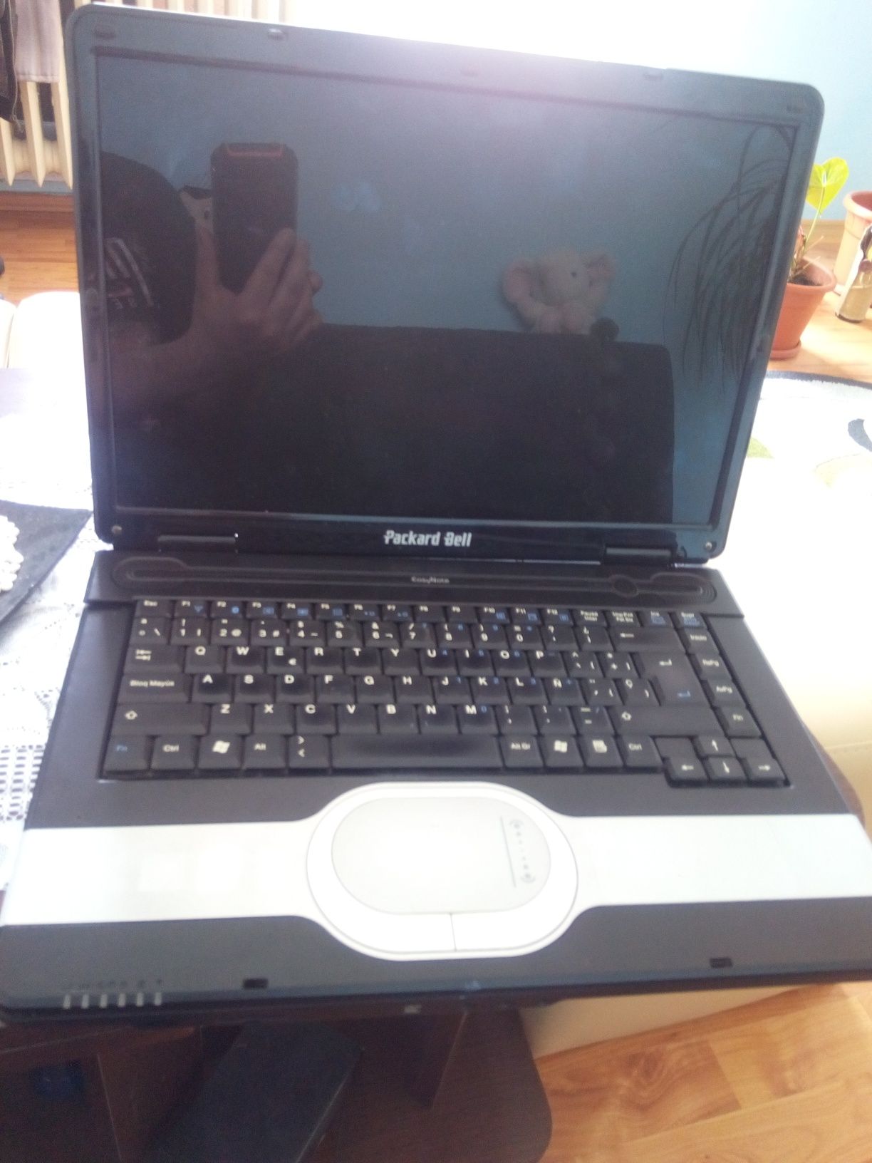 Packard bell easynote