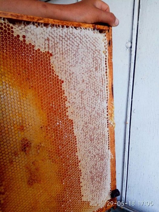 Натуральный мёд. Табиий асал.Tabiiy asal. Natural Honey