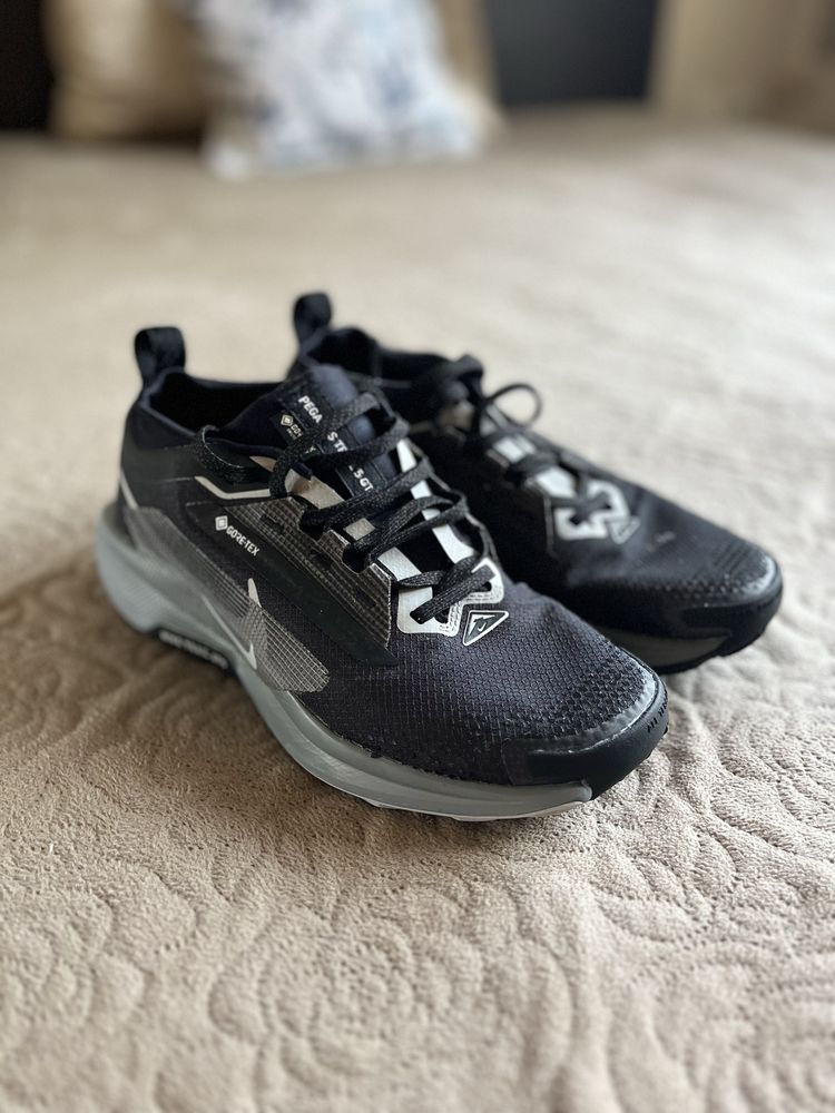 Nike Pegasios Gore tex