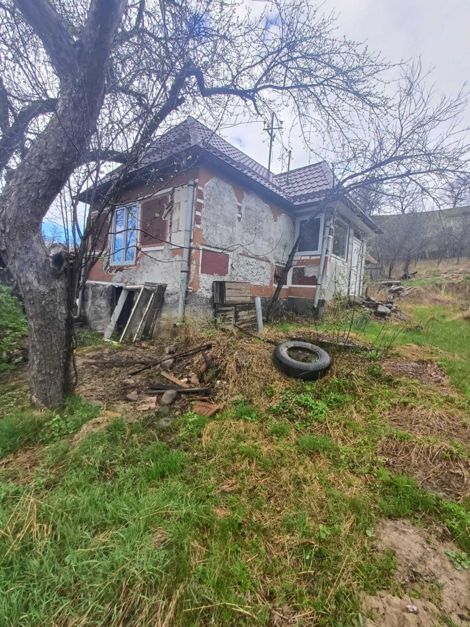 20 de arii si 2 case in Fițcău