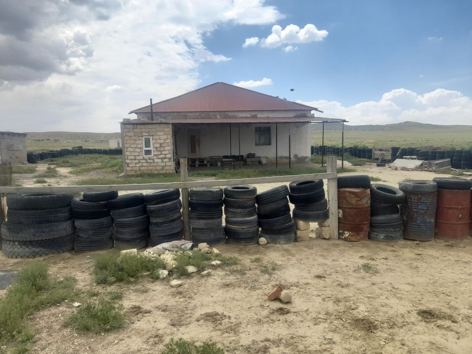 1000 гектар шаруашылыққа арналған жер сатылады