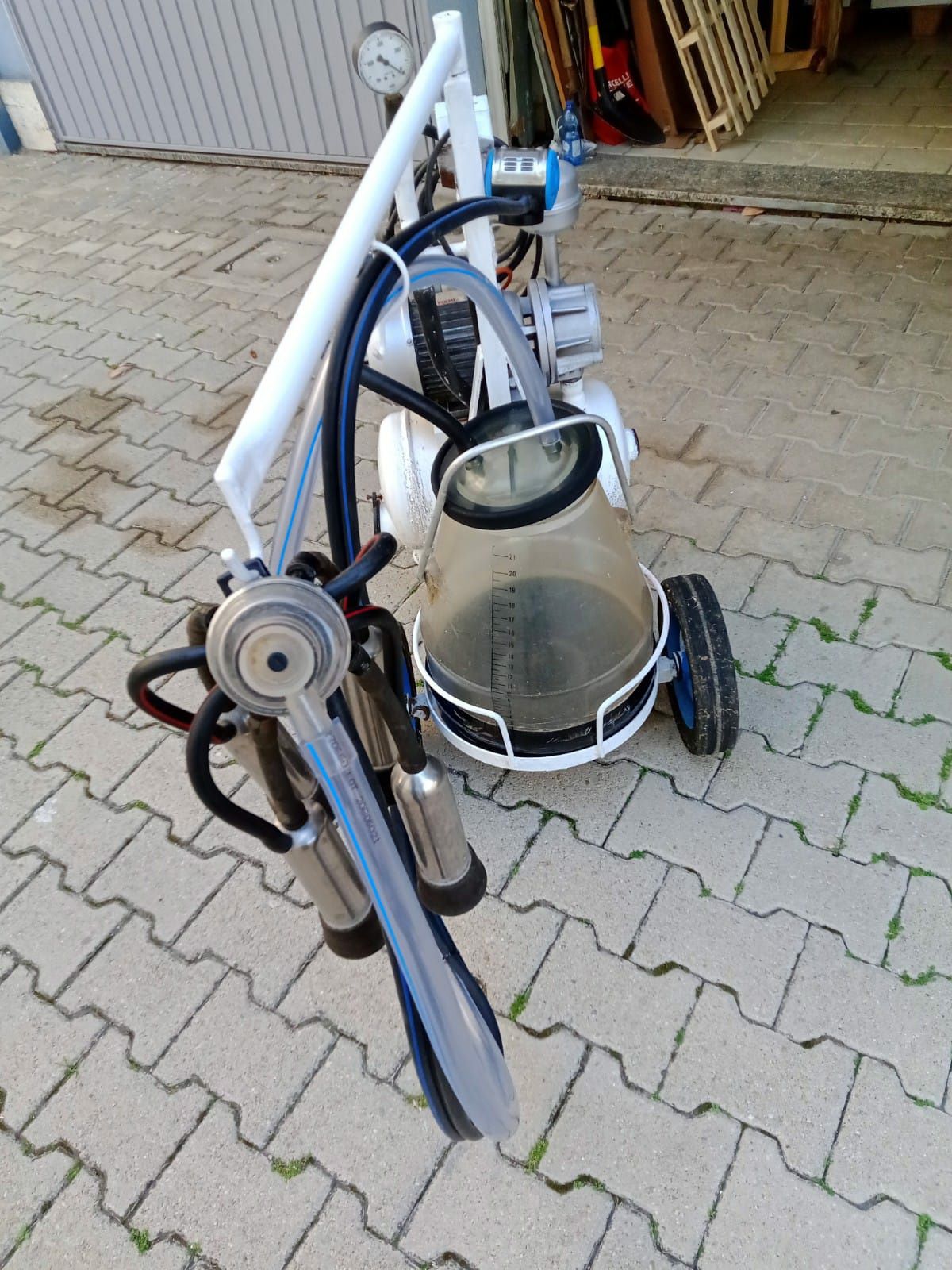 Mulgatoare aparat de muls vaci
