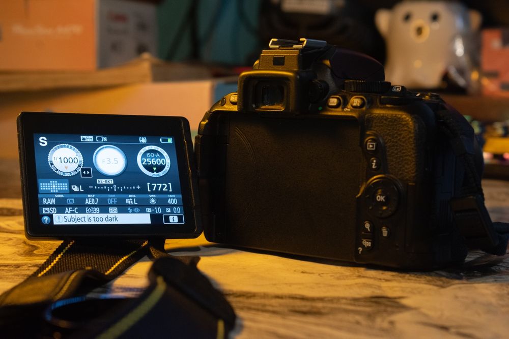 Фотоапарат Nikon D5500