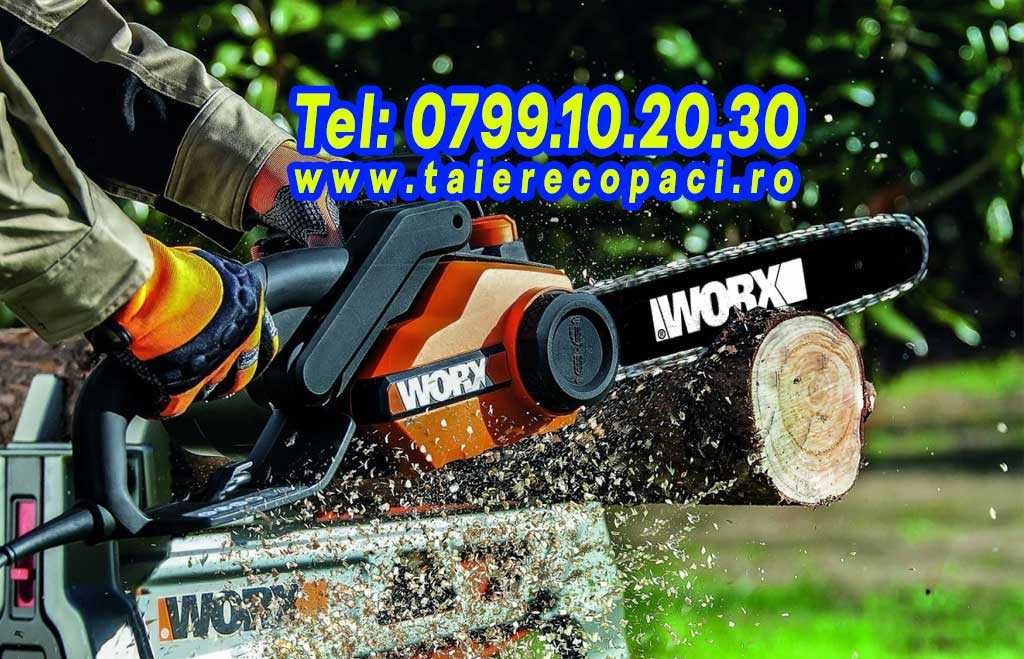 Taiere copaci dificili inalti uscati toaletare brad nuc plop Bragadiru