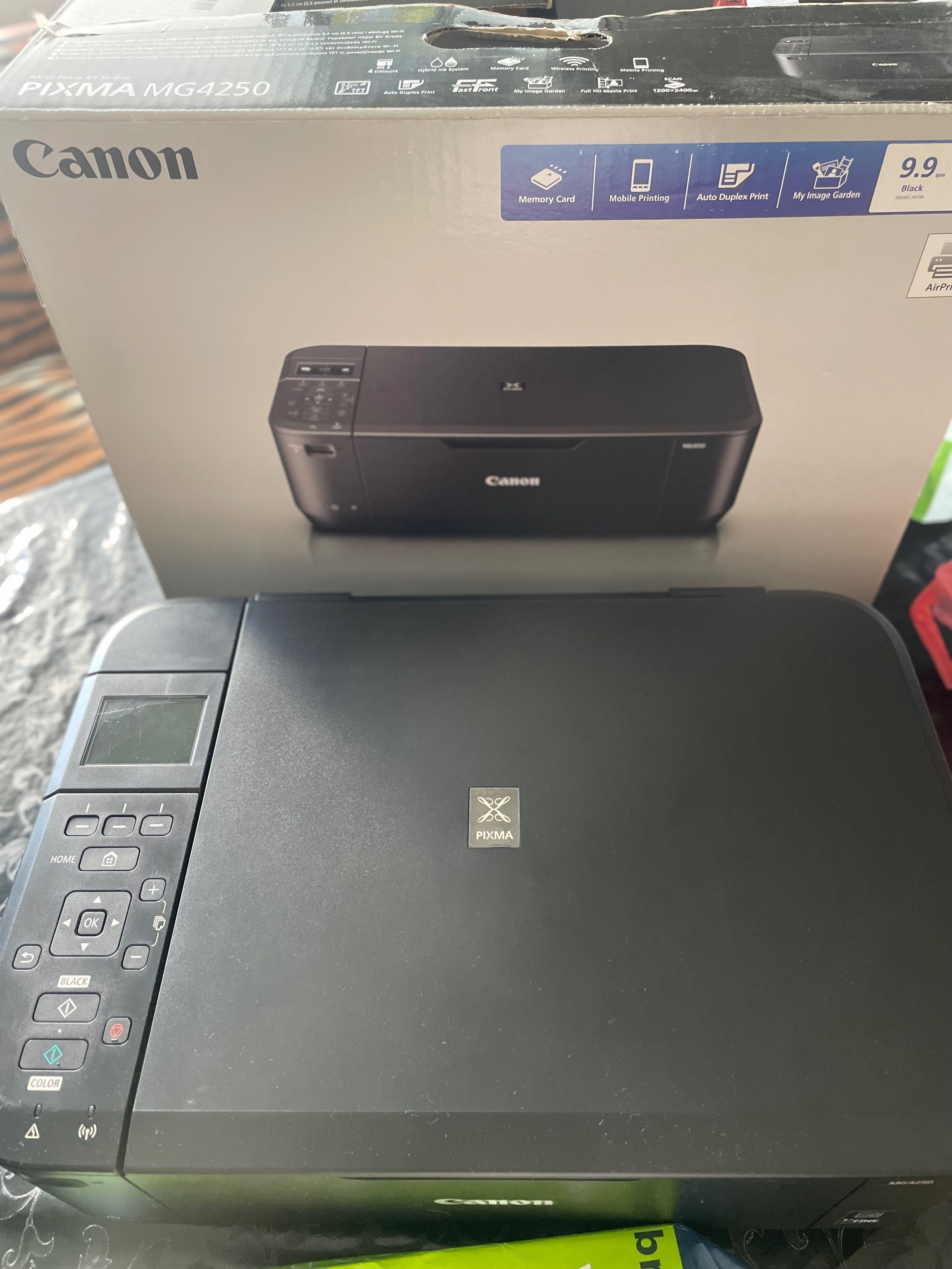 Принтер Canon PIXMA MG4250