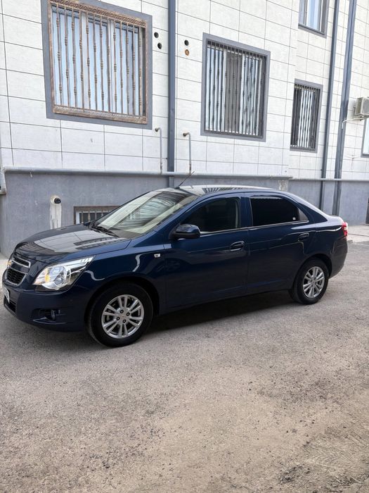 Kobalt 2023 yil Arenda vikub