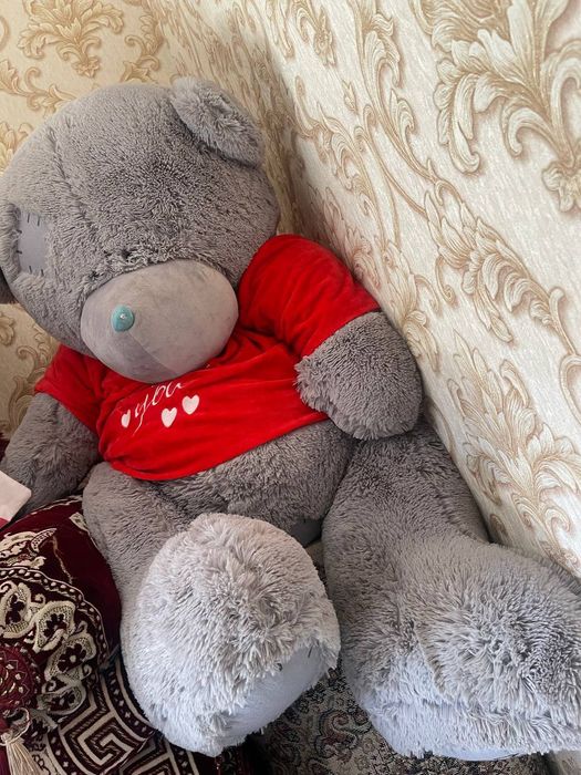 Tedii ayiqcha razmeri zōr