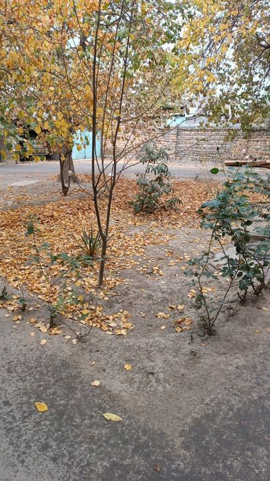 Срочно продам квартиру 2/2/2 ор Миробадский района. Транспортный инсти