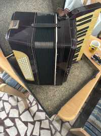 Acordeon muzical