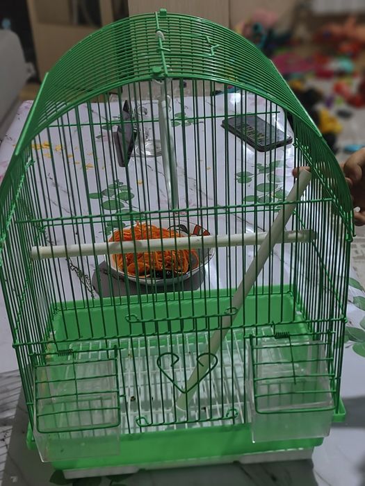 Сетка для папугай