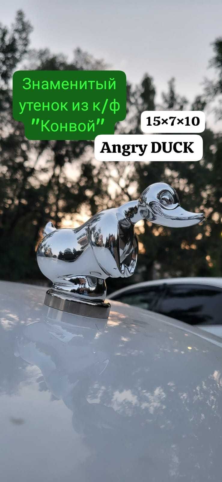 "Angry Duck" - "Злой утенок"