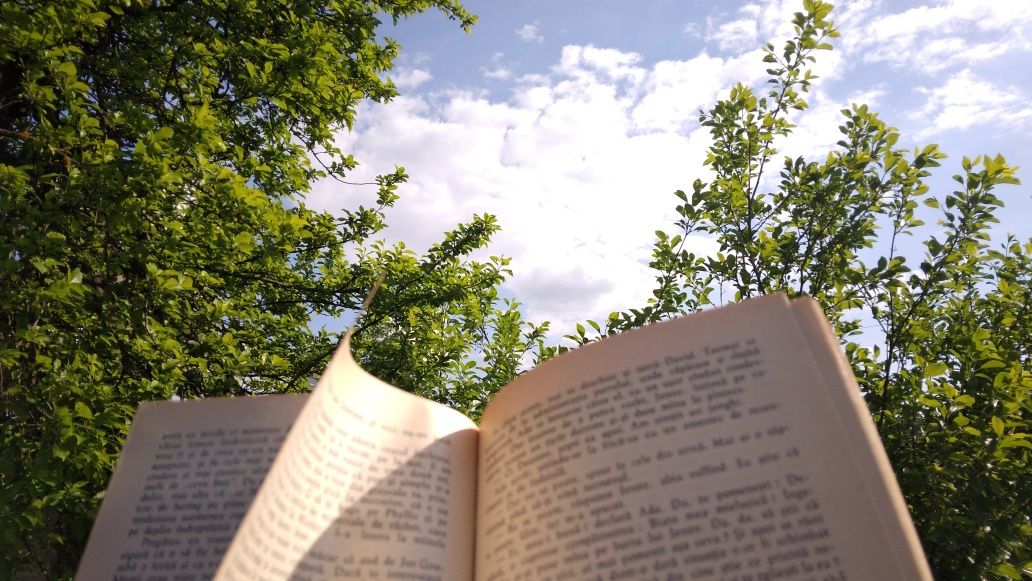 Meditatii limba si literatura romana BAC
