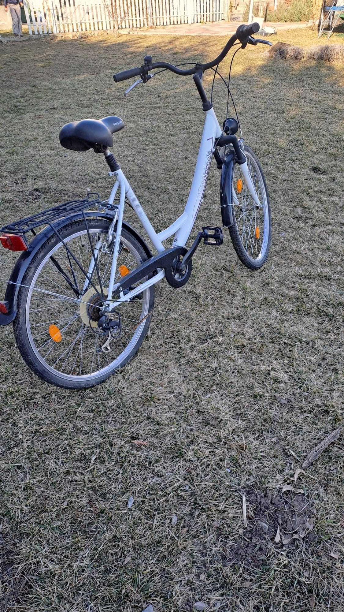 bicicleta ideală pentru DAME
