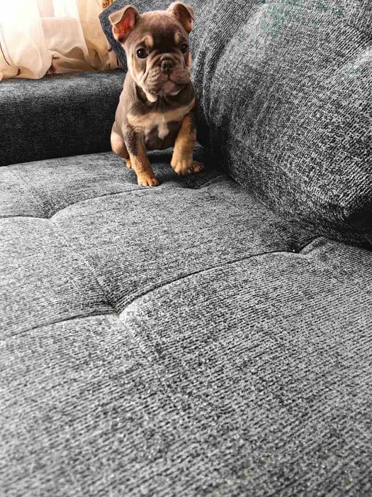 Две прекрасни момиченца