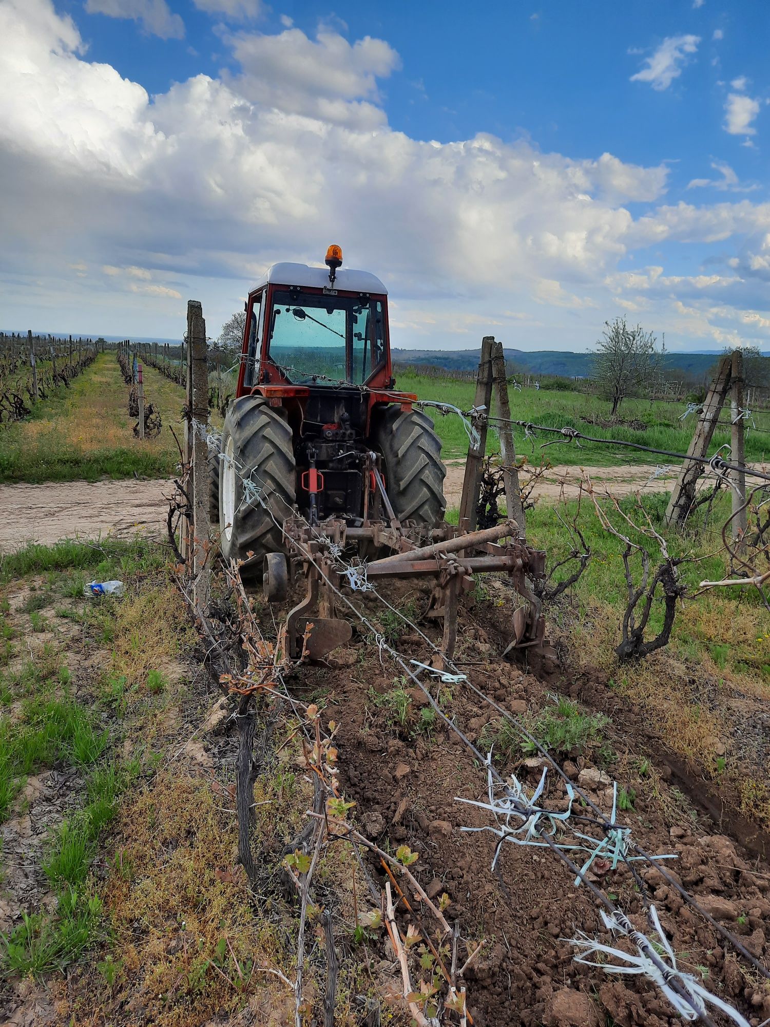 Tractor viticol, pomicol