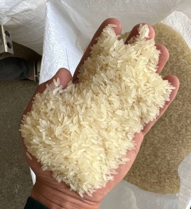 Guruch optim narxda Lazer