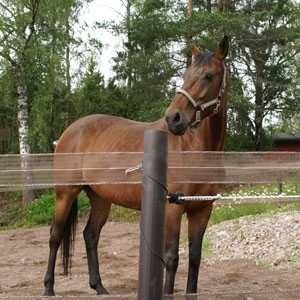 Электропастухи (электроизгороди) OLLI (Финляндия)