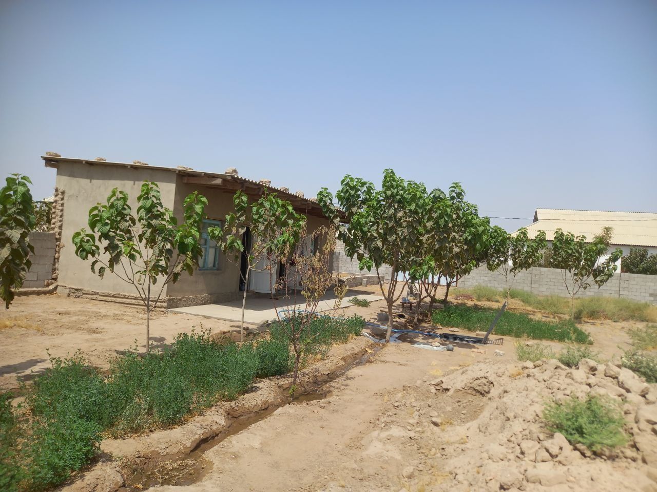 Surxondaryo viloyati Jarqo‘rg‘on tumani Qo‘shtepa mahallasi.