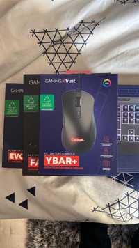mouse(YBAR+ Trust Gaming) ; Casti(FAYZO Trust Gaming) keyboard(EVOCX)