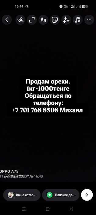 Грецкие орехи продам