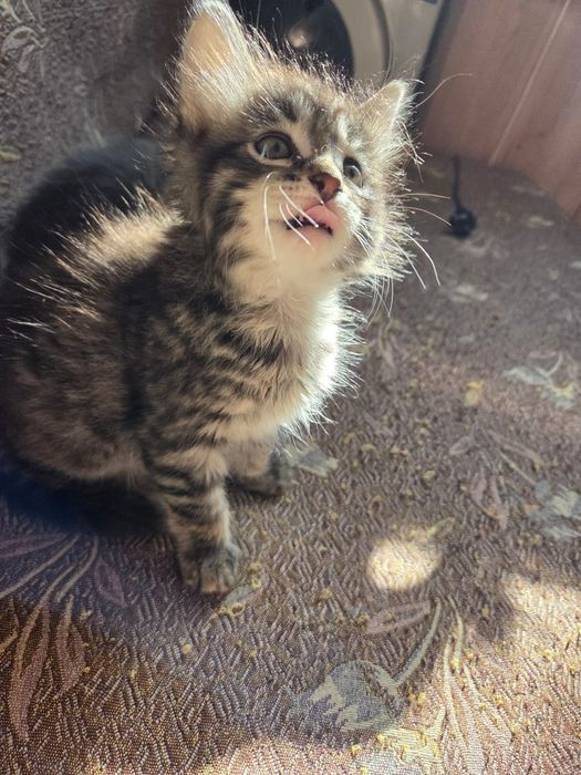 Третий месяц, девочка