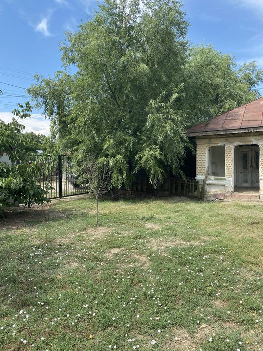 Com. Puiesti de Jos, jud. Buzau. Curte cu casa batraneasca